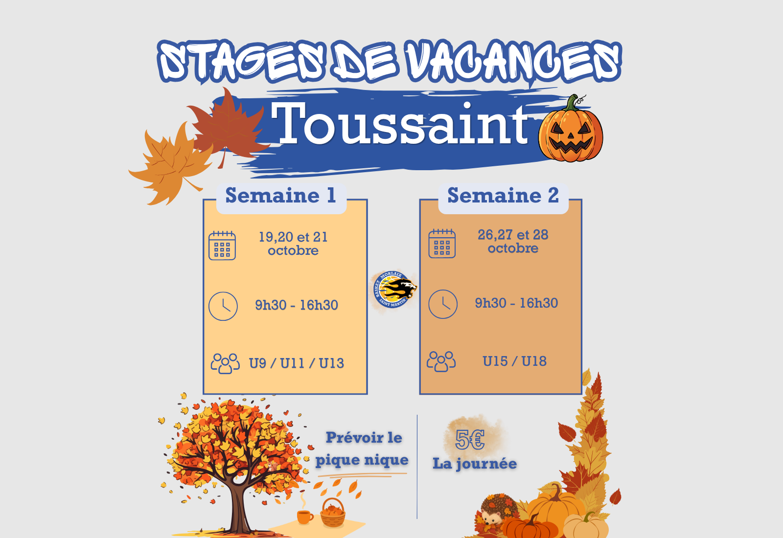 Stage de la Toussaint 🏀🎃